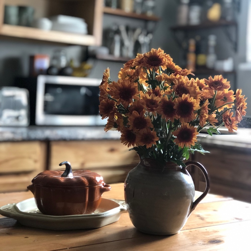 About The Shop: SALT CITY THRIFT CO.🧂